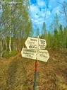 Купить участок 8 соток по адресу Архангельская область, городской округ Новодвинск, СНТ Маяк, Садовая улица, 1164 - id 6417612811659327744 - по цене 150 000 руб. на Яндекс.Недвижимости