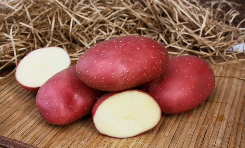 Картофель Маяк 1 кг-0