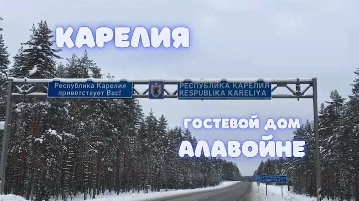 Карелия | из Санкт-Петербурга в Карелию на автомобиле #Алавойне  | Лес | Цвергпинчер Баффи