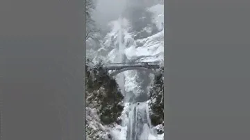 Водопад Малтнома, Орегон, США. #ВодопадМалтнома #сша #орегон #короткоевидео