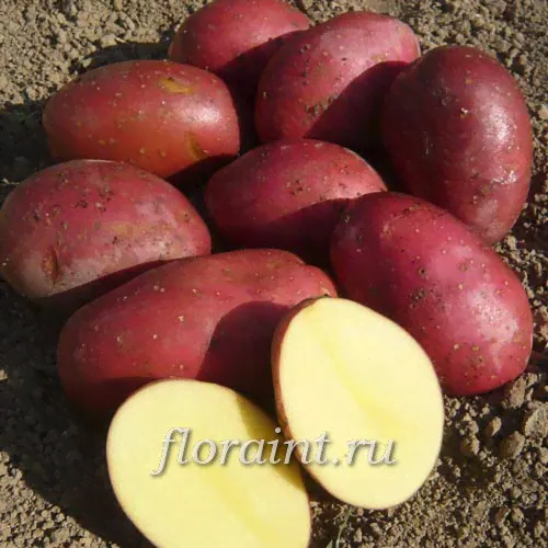 Картофель Маяк 2 кг-0