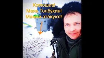 Корюшка на финском заливе!Маяк Толбухин!Мчим драть мамок на буксировщике!