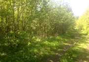 Купить участок 10 соток по адресу Светлогорский городской округ, посёлок Молодогвардейское, СНТ Маяк - id 7569526871756107008 - по цене 950 000 руб. на Яндекс.Недвижимости