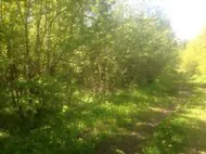 Купить участок 10 соток по адресу Светлогорский городской округ, посёлок Молодогвардейское, СНТ Маяк - id 7569526871756107008 - по цене 950 000 руб. на Яндекс.Недвижимости-1
