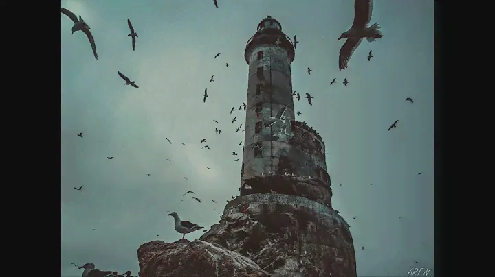 Показательный тур на маяк Анива #СахТерра #Сахалин #trip