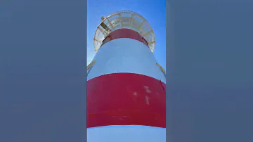 🇳🇿 Cape Palliser. With a seal colony nearby #cape #newzealandnature #naturelove #natur #lighthouse