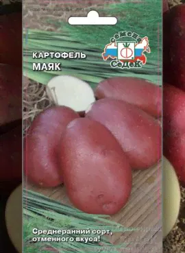 КАРТОФЕЛЬ МАЯК (0,02 г)