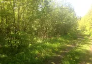 Купить участок 10 соток по адресу Светлогорский городской округ, посёлок Молодогвардейское, СНТ Маяк - id 7569526871756107008 - по цене 950 000 руб. на Яндекс.Недвижимости